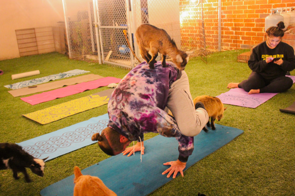 Point of Interest Featured Image