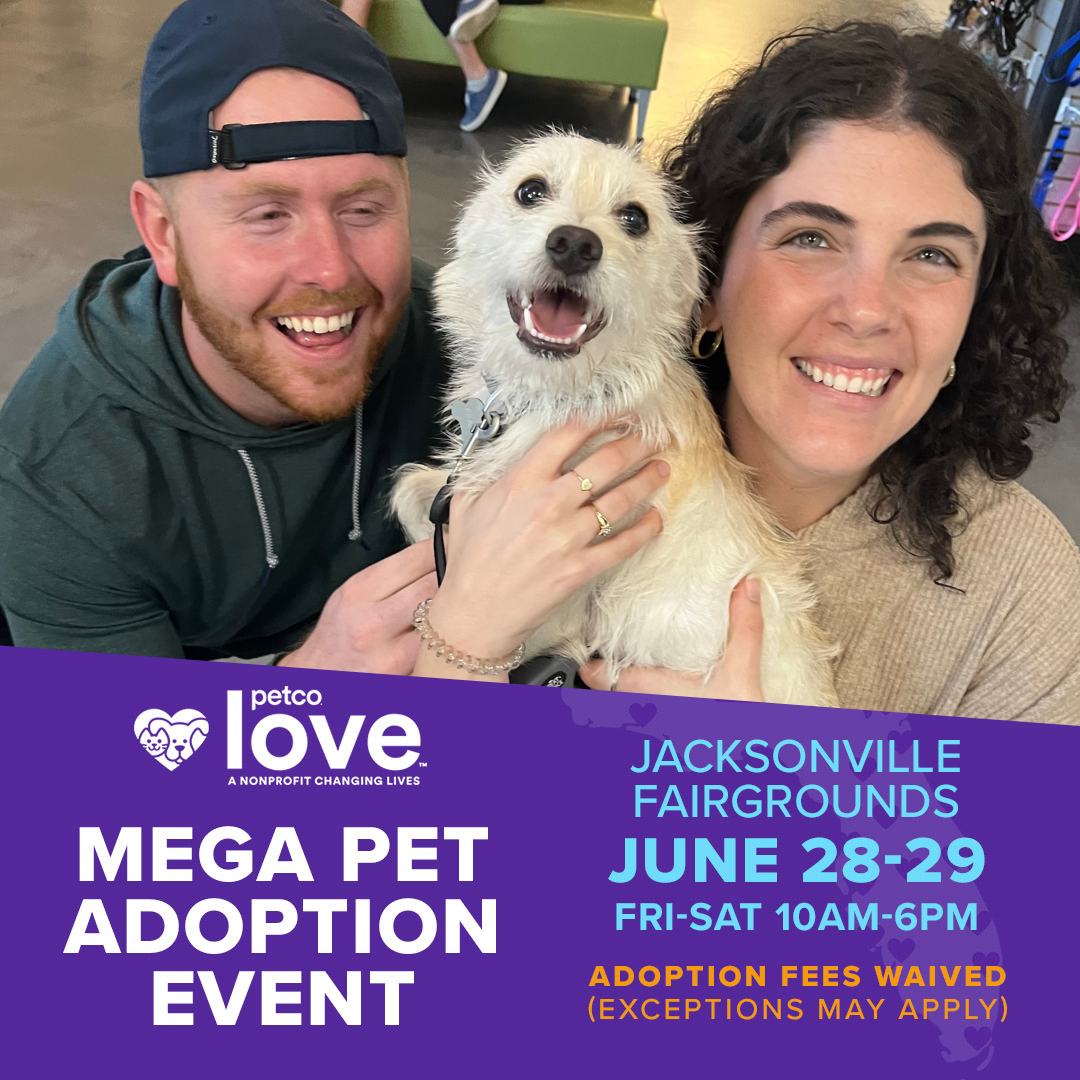 Petco Love Florida Mega Adoption Event - Downtown Jacksonville
