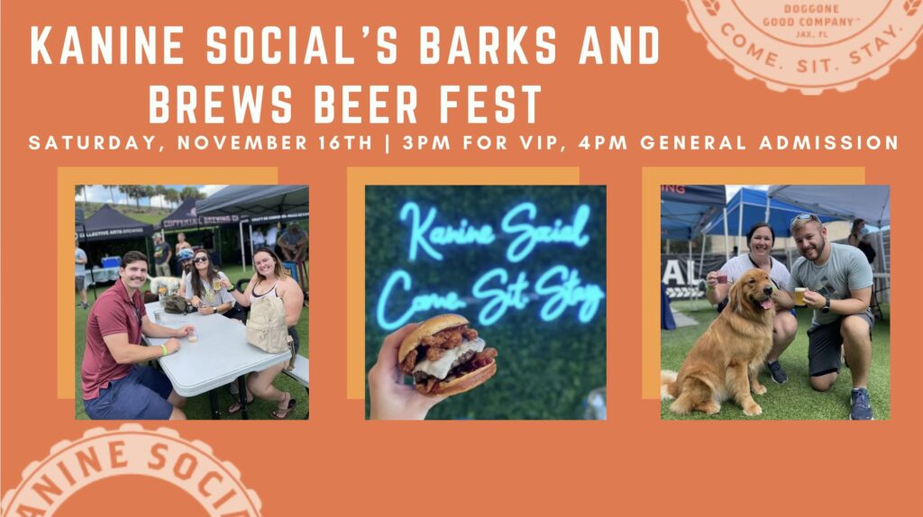 Point of Interest Featured Image