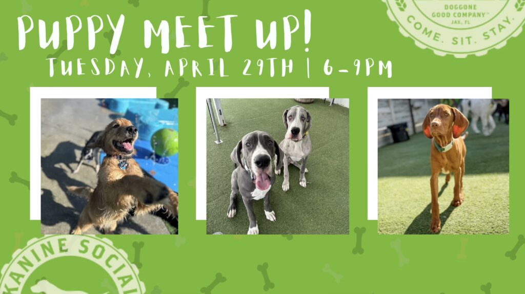 Point of Interest Featured Image