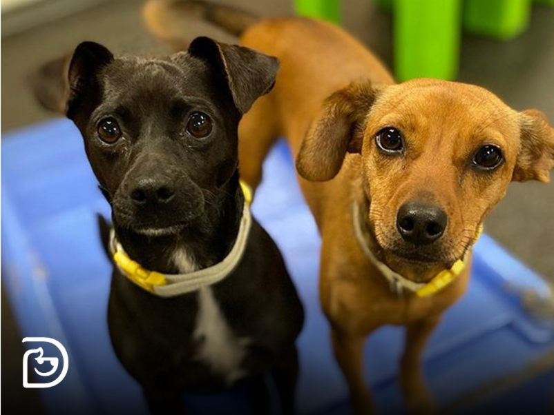 Point of Interest Featured Image