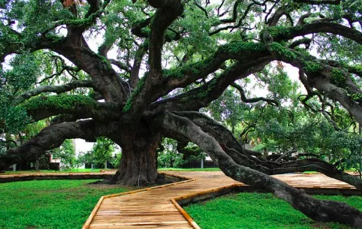 Point of Interest Featured Image