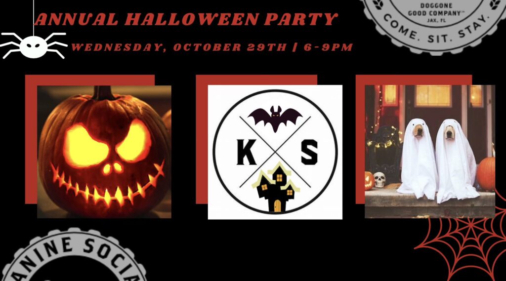 Point of Interest Featured Image