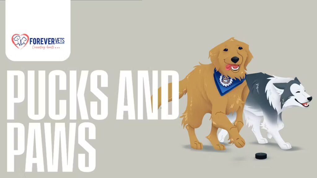 Point of Interest Featured Image