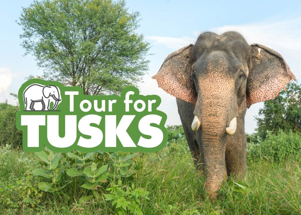 Point of Interest Featured Image